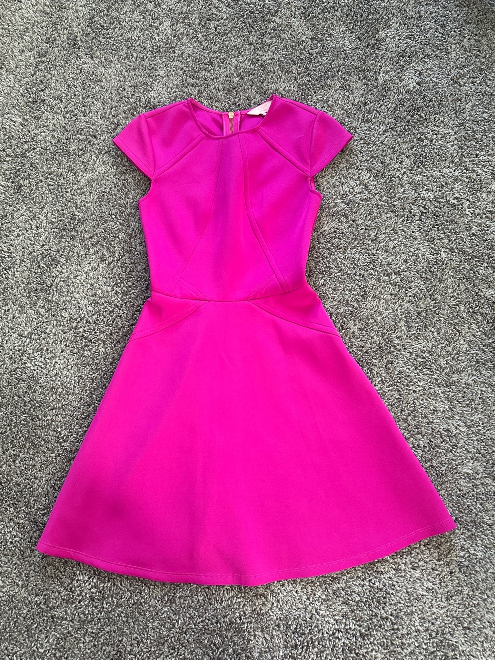 Ted Baker Bright Fuchsia Fit-and-Flare Dress